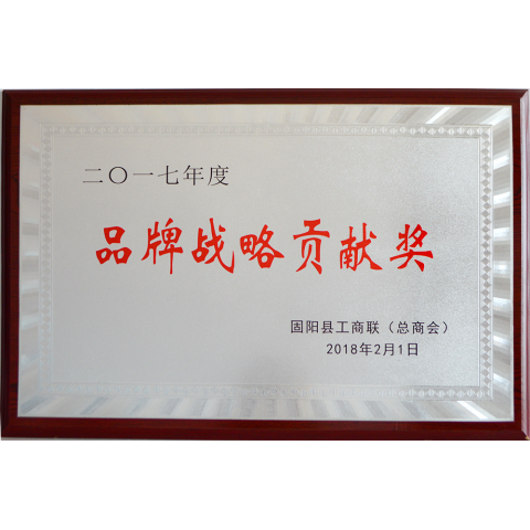 品牌貢獻戰(zhàn)略獎