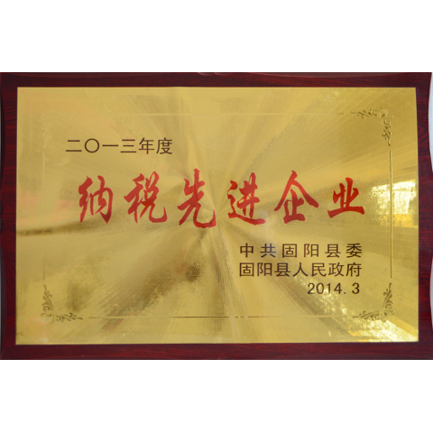 納稅先進企業(yè)